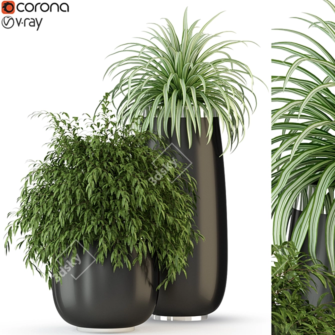 Botanical Bliss: Plants Collection 3D model image 1