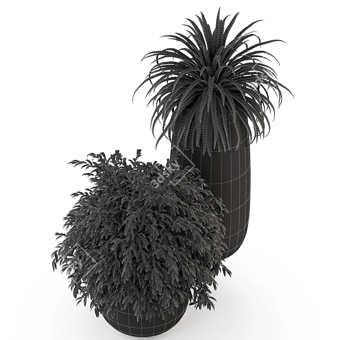 Botanical Bliss: Plants Collection 3D model image 4