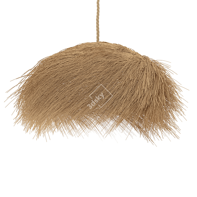 Natural Rattan Lamp Shade 3D model image 3