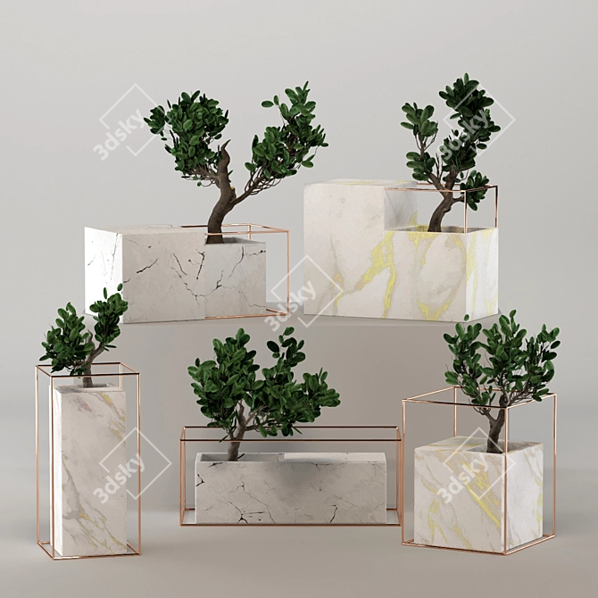 Marble Zen Bonsai Collection 3D model image 1