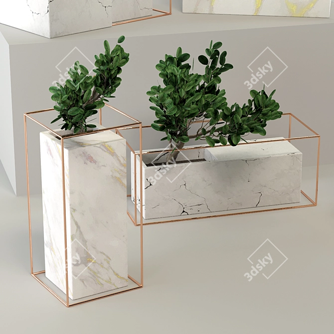 Marble Zen Bonsai Collection 3D model image 4