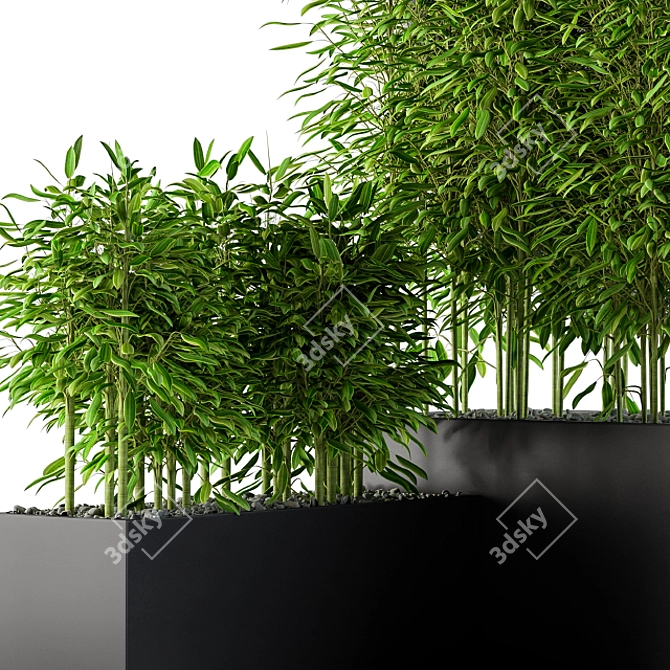 Bamboo Haven: Lush Plant Box 3D model image 3