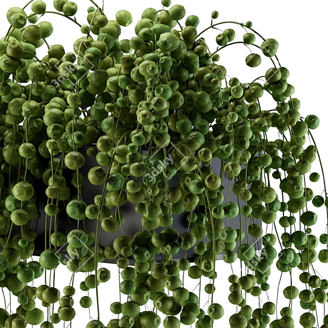 Lively Ivy - Hang and Thrive! 3D model image 3