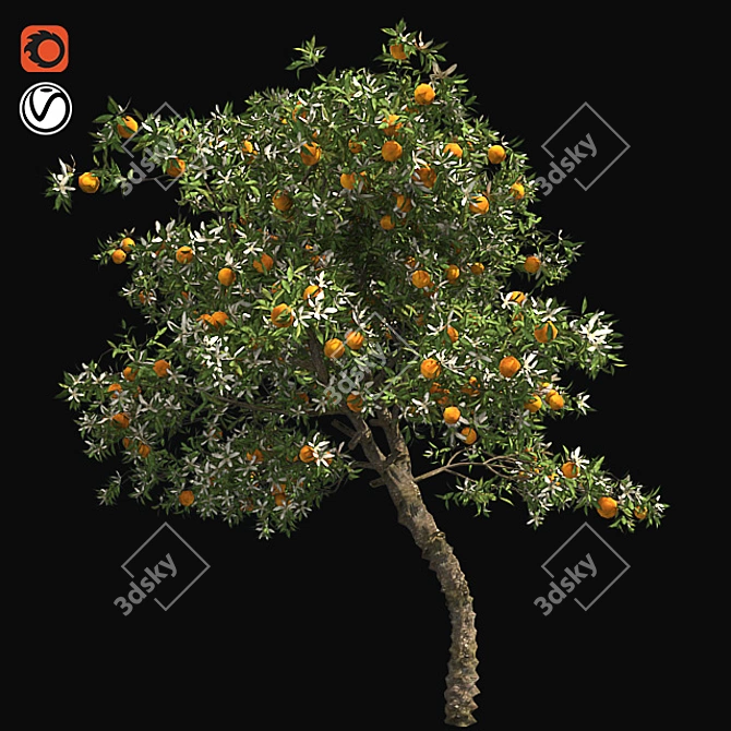  Blooming Orange Tree 3D model image 1