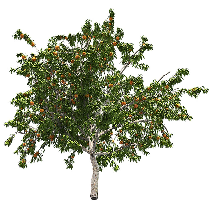  Luscious Peach Tree: Realistic and Fully Textured 3D model image 3