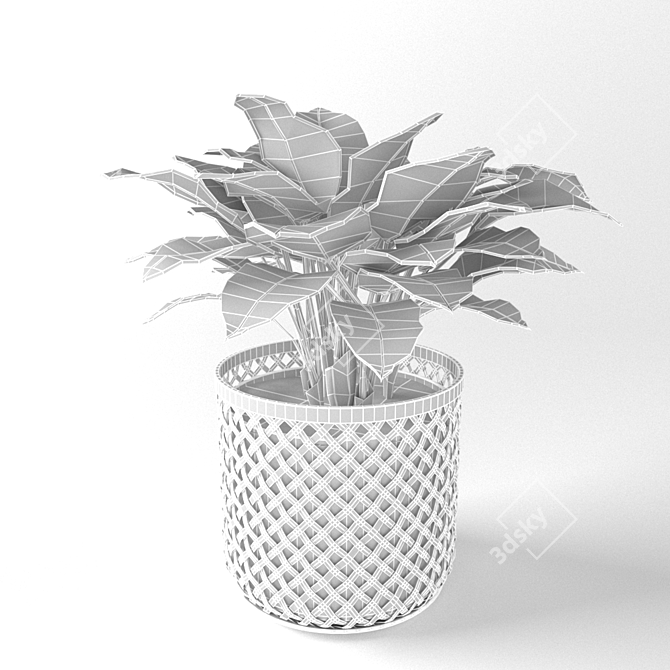 Elegance in a Vase: Hosta Plant 3D model image 3