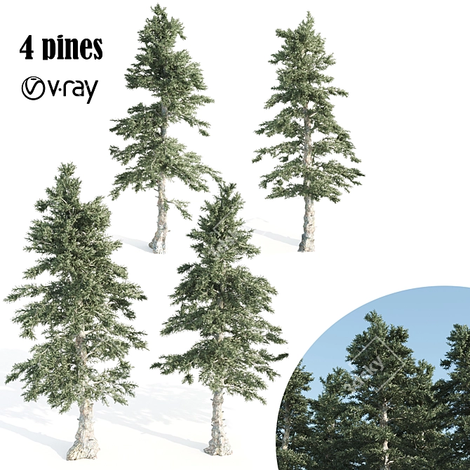 4 Pines-Vray: A Russian Delight 3D model image 1