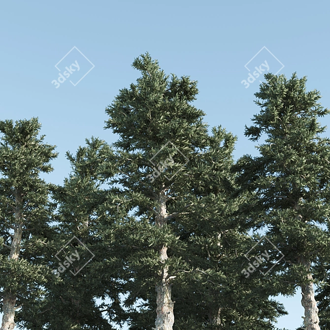 4 Pines-Vray: A Russian Delight 3D model image 2