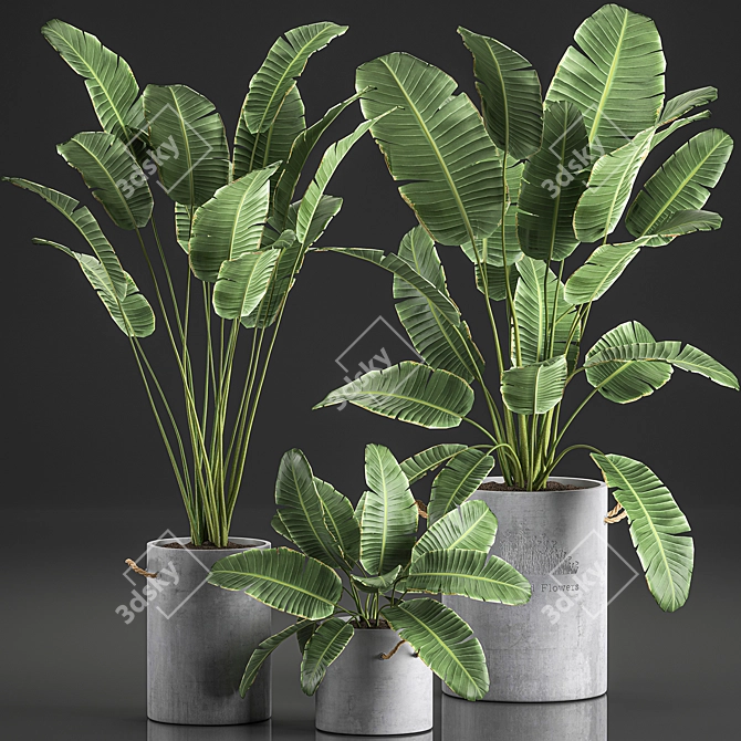 Indoor Concrete Plant Collection 3D model image 1