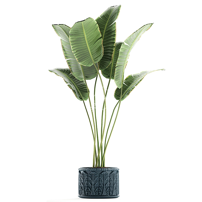 Exotic Plant Collection in Classic Vase 3D model image 2