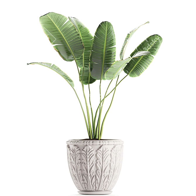 Exotic Plant Collection in Classic Vase 3D model image 4