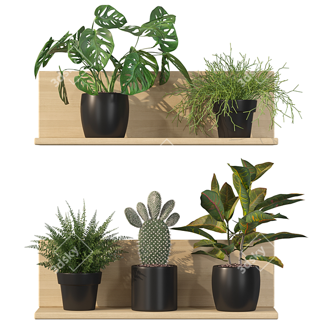 Vertical Plants Collection: Opuntia, Rhipsalis, Monstera, Croton & Fern 3D model image 1