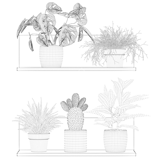 Vertical Plants Collection: Opuntia, Rhipsalis, Monstera, Croton & Fern 3D model image 2