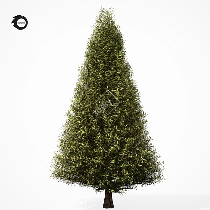 Realistic Pine Tree 6S 3D model image 3