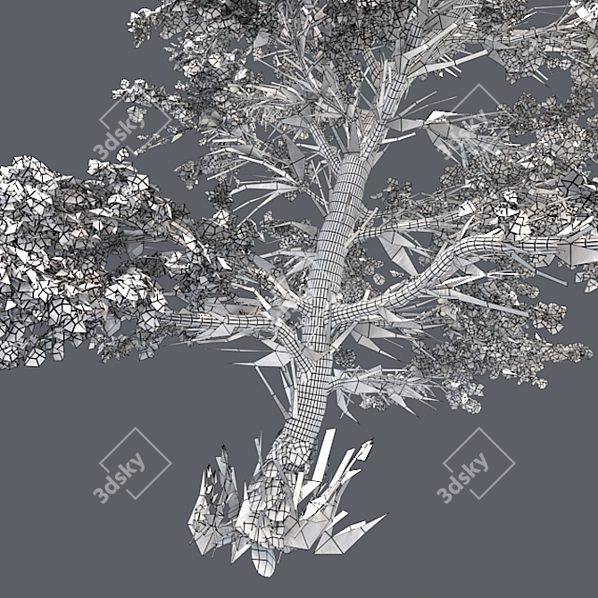 Plitvice Natural Maple Tree 3D model image 5