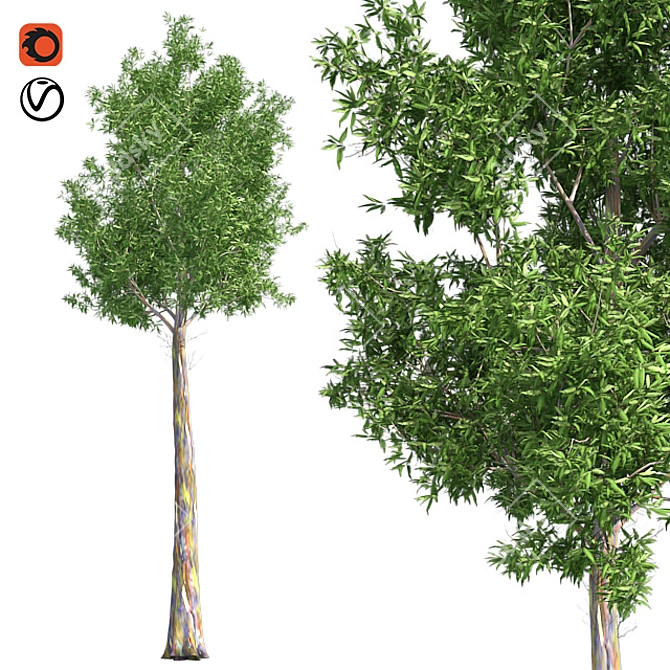 Optimized Quad Gum Tree 3D model image 1