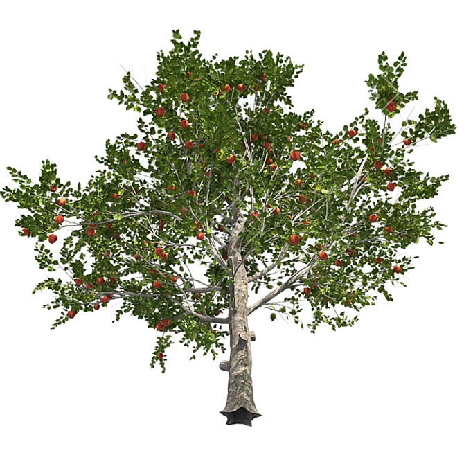 Optimized Red Apple Tree 3D model image 2