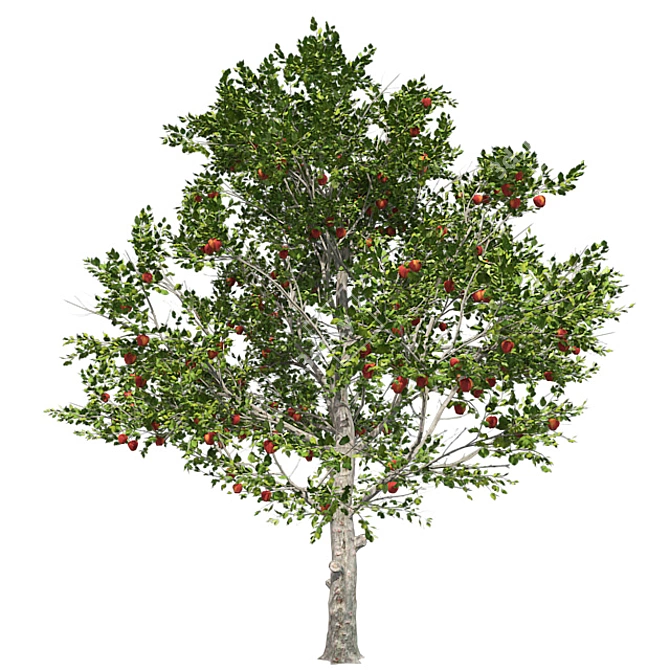 Optimized Red Apple Tree 3D model image 4