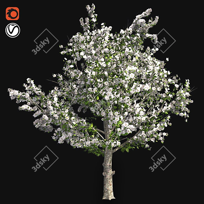 Pruned Apple Tree, High-Quality 4K Texture 3D model image 1