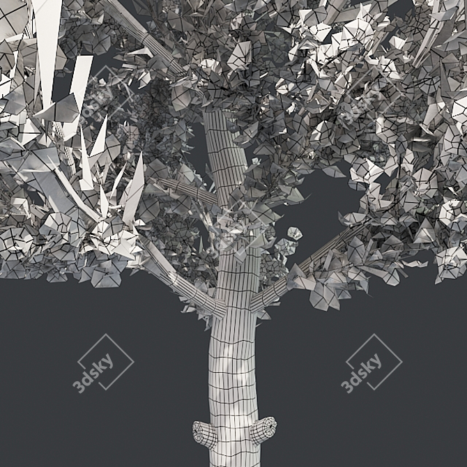 Pruned Apple Tree, High-Quality 4K Texture 3D model image 5
