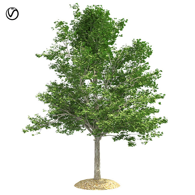 Vibrant Red Maple Tree - High-Quality 3D Model 3D model image 1