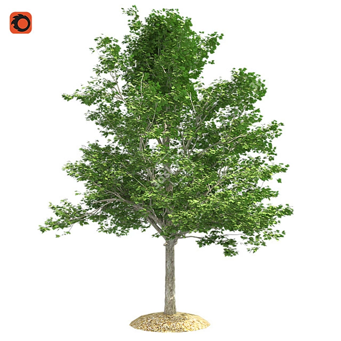 Vibrant Red Maple Tree Crown 3D model image 1