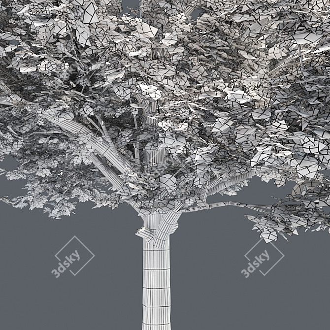 Vibrant Red Maple Tree Crown 3D model image 5