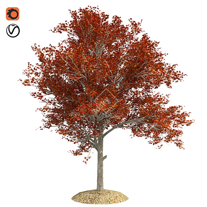 Title: Autumn Splendor Red Maple Tree 3D model image 1