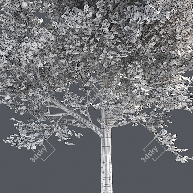 Title: Autumn Splendor Red Maple Tree 3D model image 5