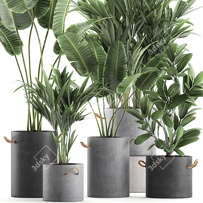 Exotic Plant Collection: Concrete Pot Decor 3D model image 2