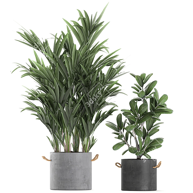 Exotic Plant Collection: Concrete Pot Decor 3D model image 4