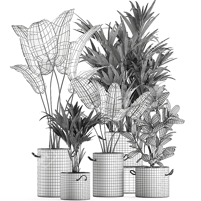 Exotic Plant Collection: Concrete Pot Decor 3D model image 5