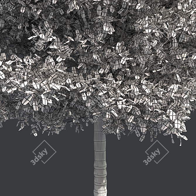 Shingle Oak Tree: High-Quality, Realistic Design. 3D model image 5