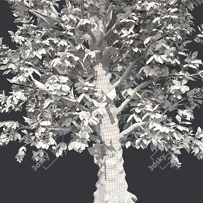 Southern Magnolia Tree 3D model image 5