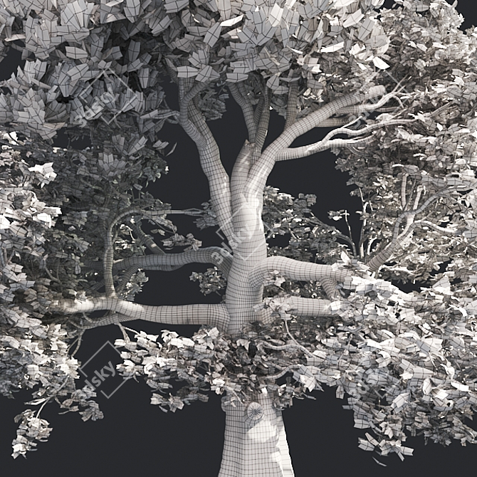 Premium White Oak Tree: Realistic 3D Model 3D model image 5