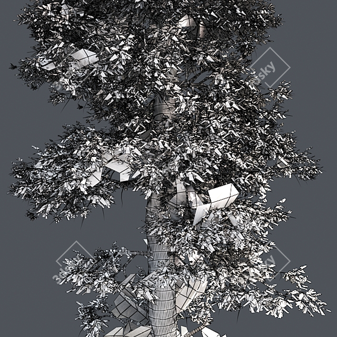 Optimized Quad Textured Bald Cypress Tree 3D model image 5