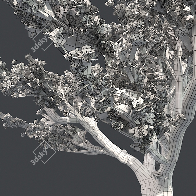 Lebanon Cedar: Realistic 3D Tree 3D model image 5