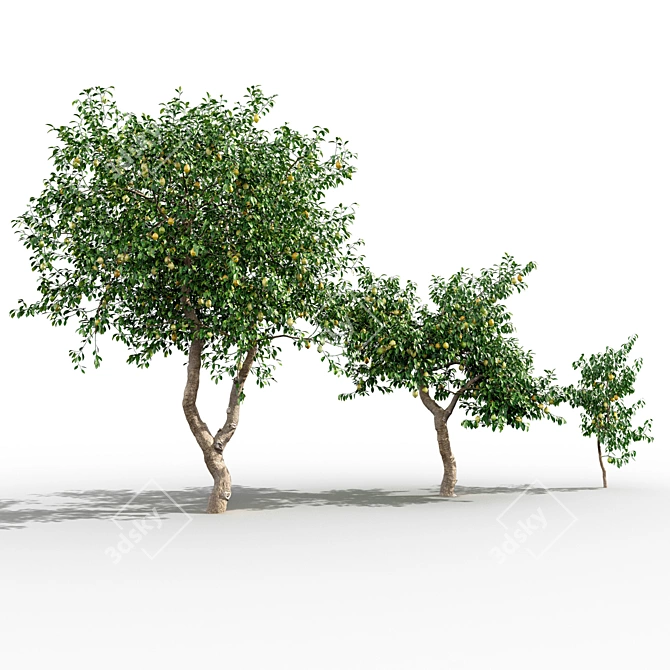 Lush Lemon Tree Collection: 3D Models & Textures 3D model image 1