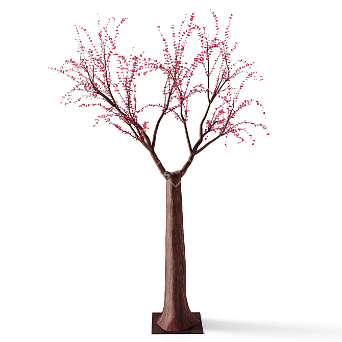 Blooming Beauty: Osaka Cherry Tree 3D model image 3