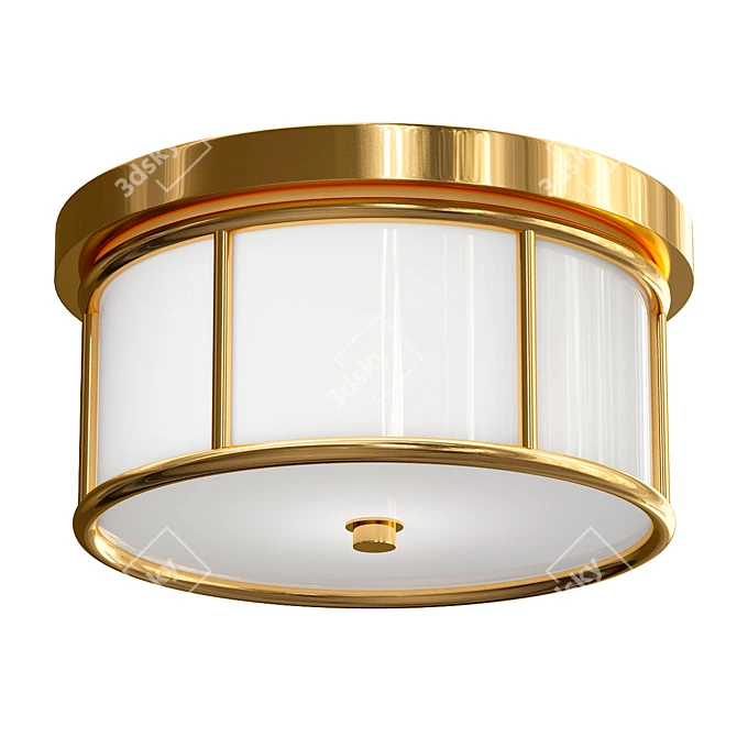 Elegant Ceiling Light 3D model image 1