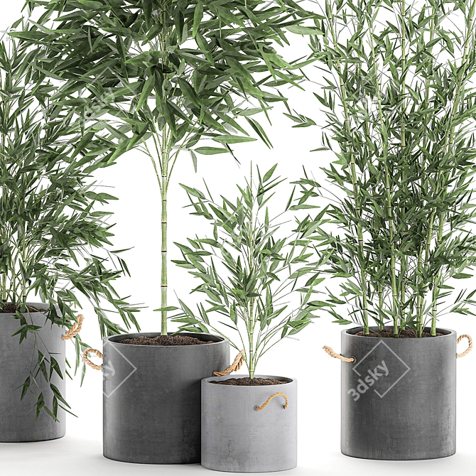 Exotic Bamboo: Decorative Plant Collection 3D model image 2