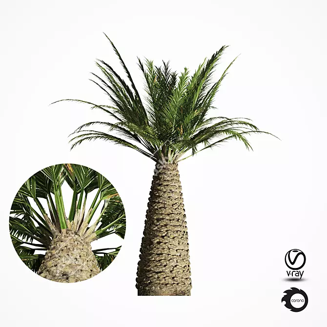 Tropical Palm Tree Replica 3D model image 1