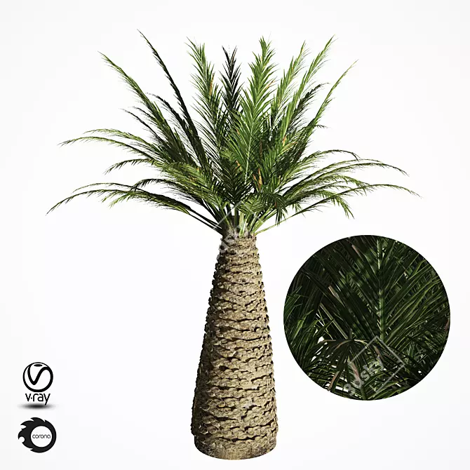 Tropical Palm Tree Replica 3D model image 2
