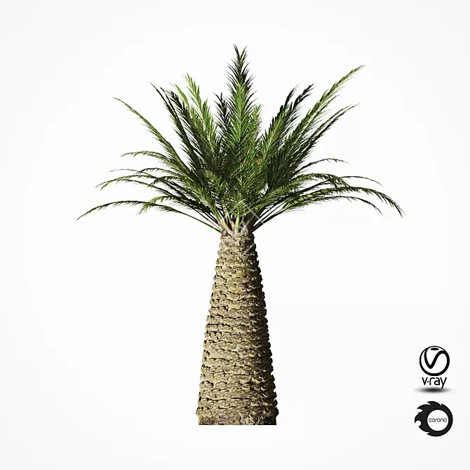 Tropical Palm Tree Replica 3D model image 4