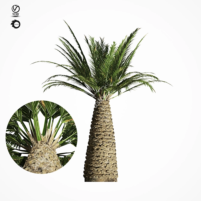 Tropical Palm Tree Replica 3D model image 6