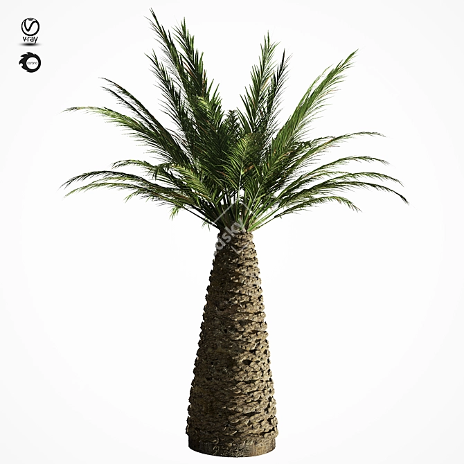 Tropical Palm Tree Replica 3D model image 8