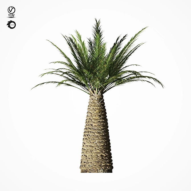 Tropical Palm Tree Replica 3D model image 9