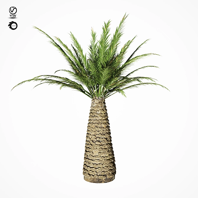 Tropical Palm Tree Replica 3D model image 10