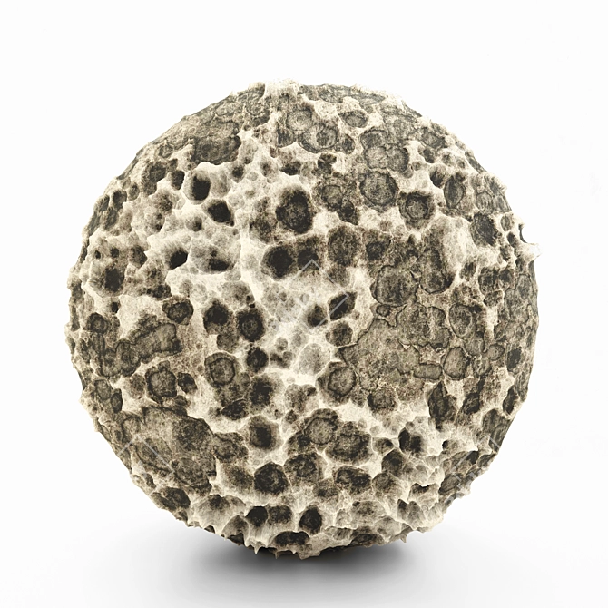 Volcanic Rock PBR Material 3D model image 1