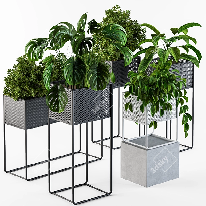 Green Oasis Indoor Plant Collection 3D model image 1